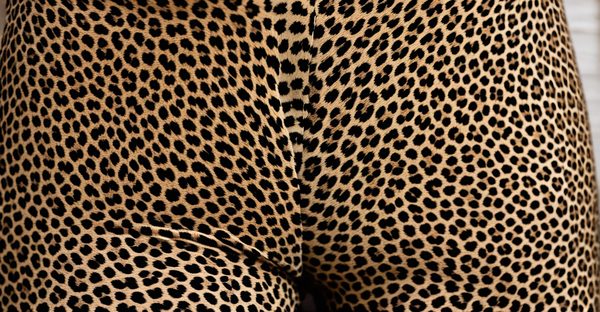 Entdecken sie stilvolle und bequeme leo leggings für jeden anlass